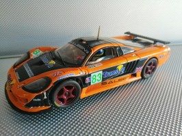 SALEEN8